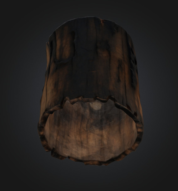 Burn Tree Stump 3D model_3