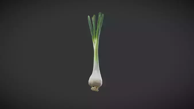 Scallion Low-poly 3D model