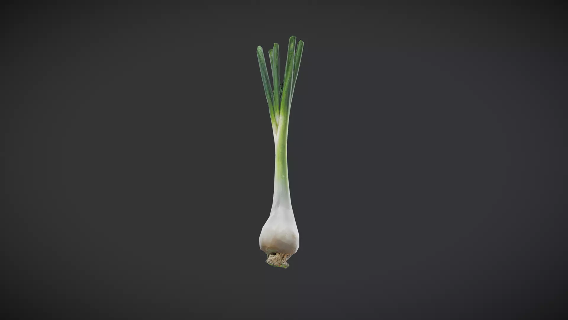 Scallion Low-poly 3D model_0