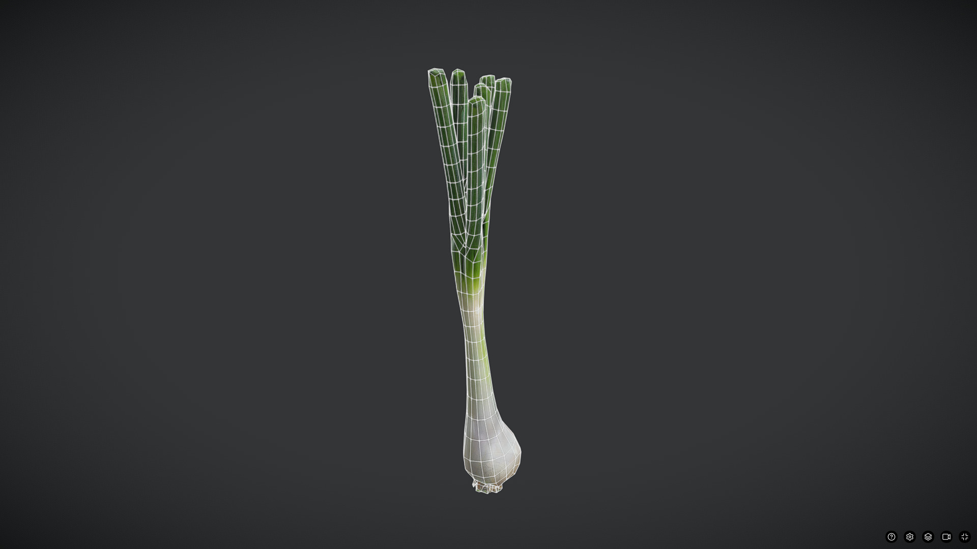 Scallion Low-poly 3D model_6