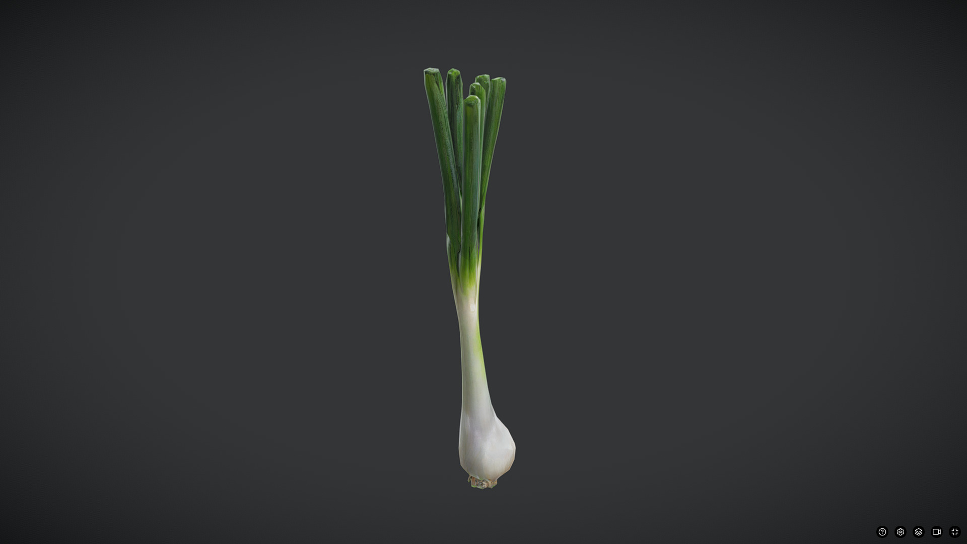 Scallion Low-poly 3D model_5