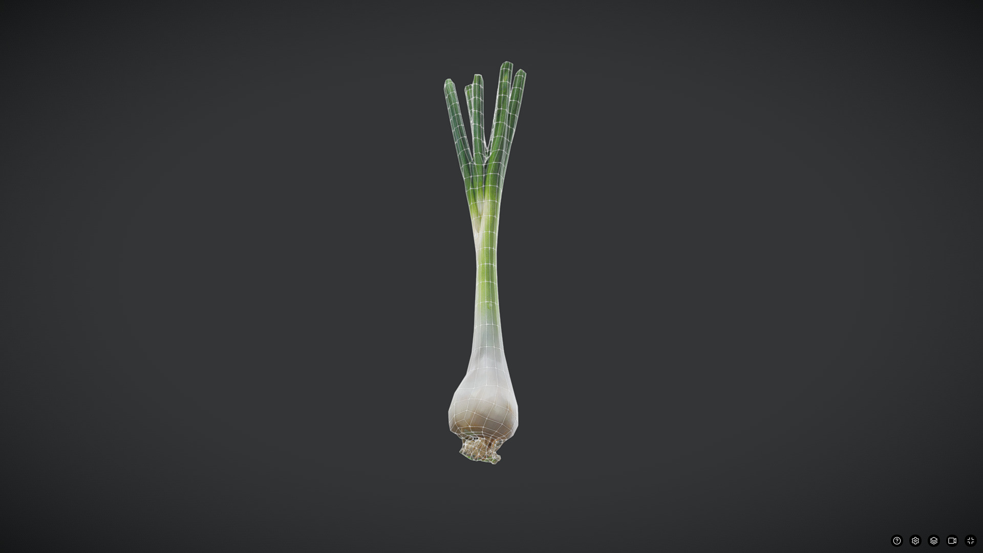 Scallion Low-poly 3D model_2