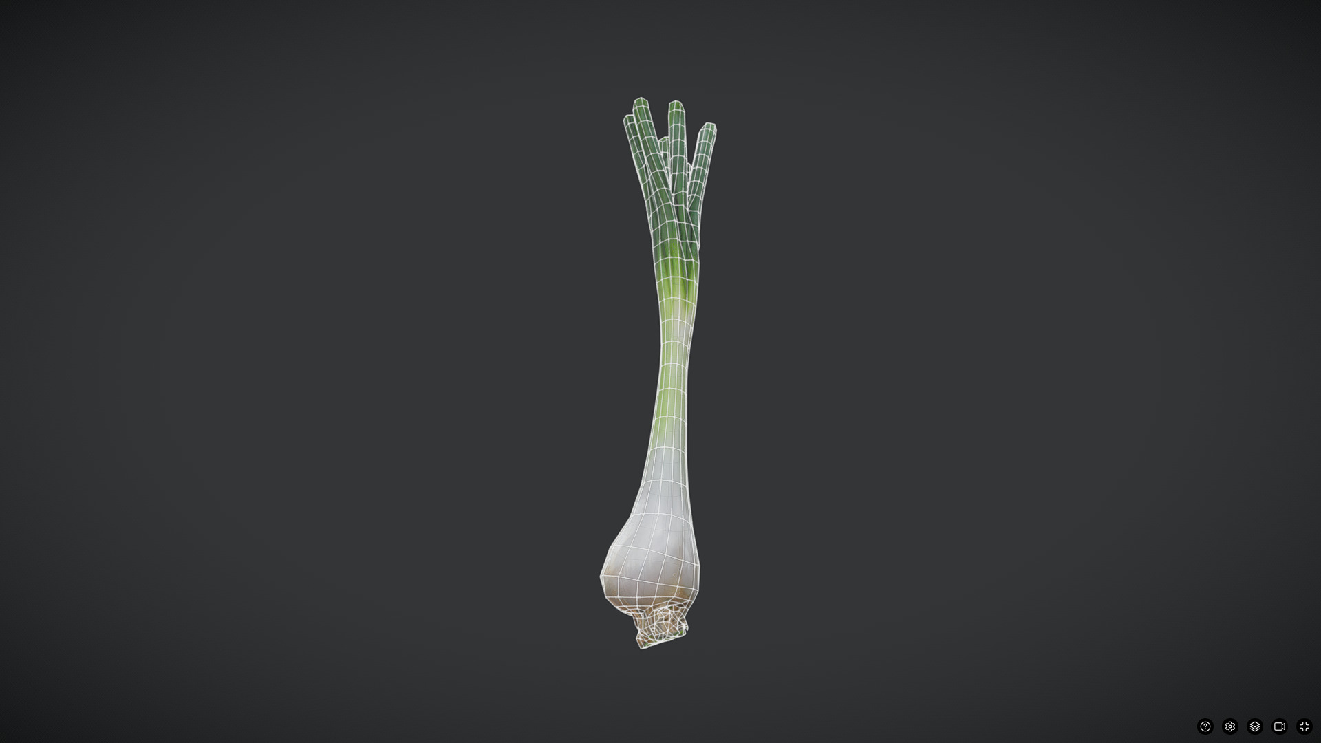 Scallion Low-poly 3D model_4