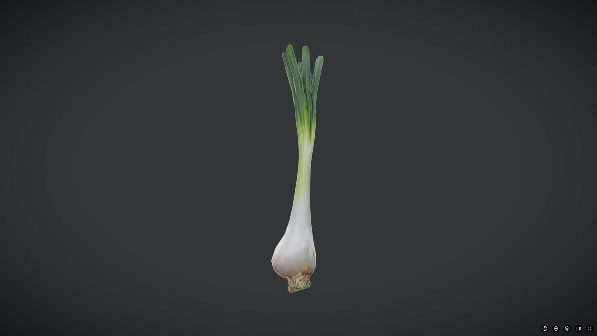 Scallion Low-poly 3D model_3