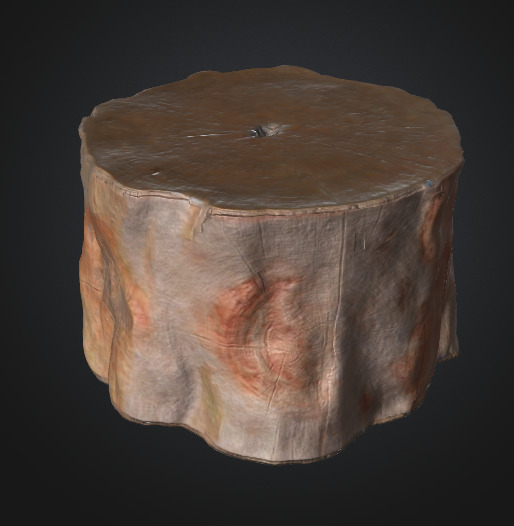 Tree stump 3D model_5