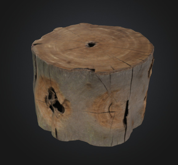 Tree stump 3D model_1