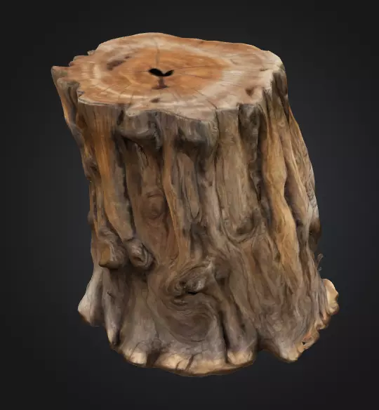 Tree Stump 3D model_0