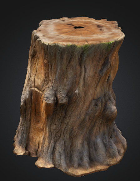 Tree Stump 3D model_1