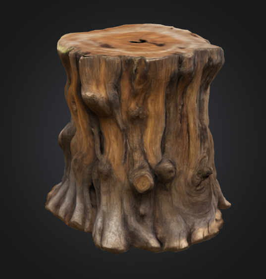 Tree Stump 3D model_4