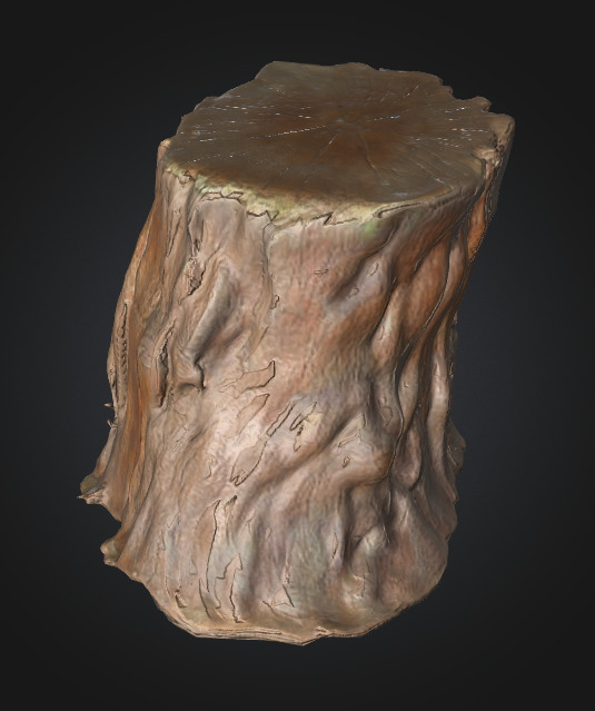 Tree Stump 3D model_5