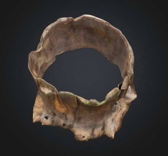 Tree stump 3D model_2