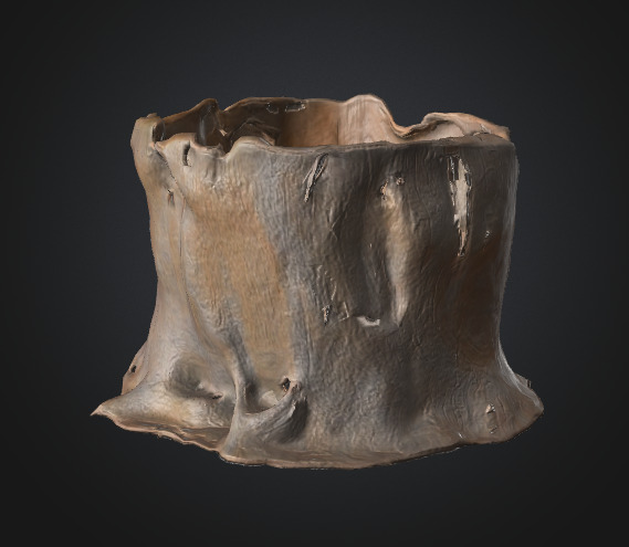 Tree stump 3D model_5