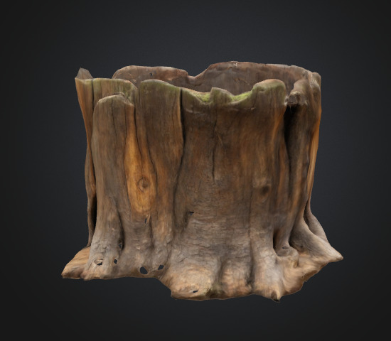 Tree stump 3D model_1