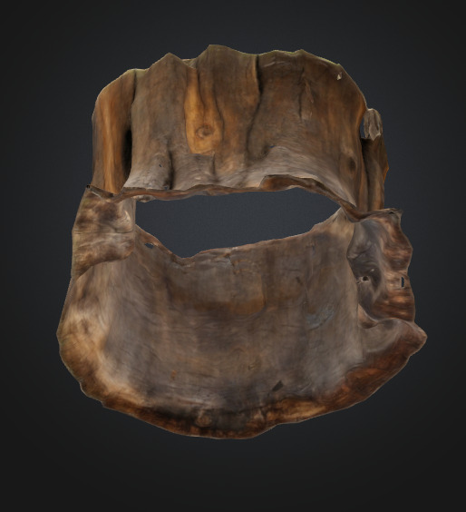Tree stump 3D model_3