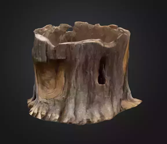 Tree stump 3D model