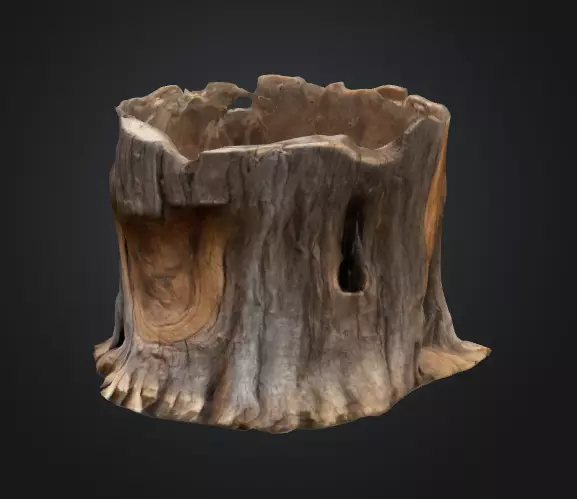 Tree stump 3D model_0