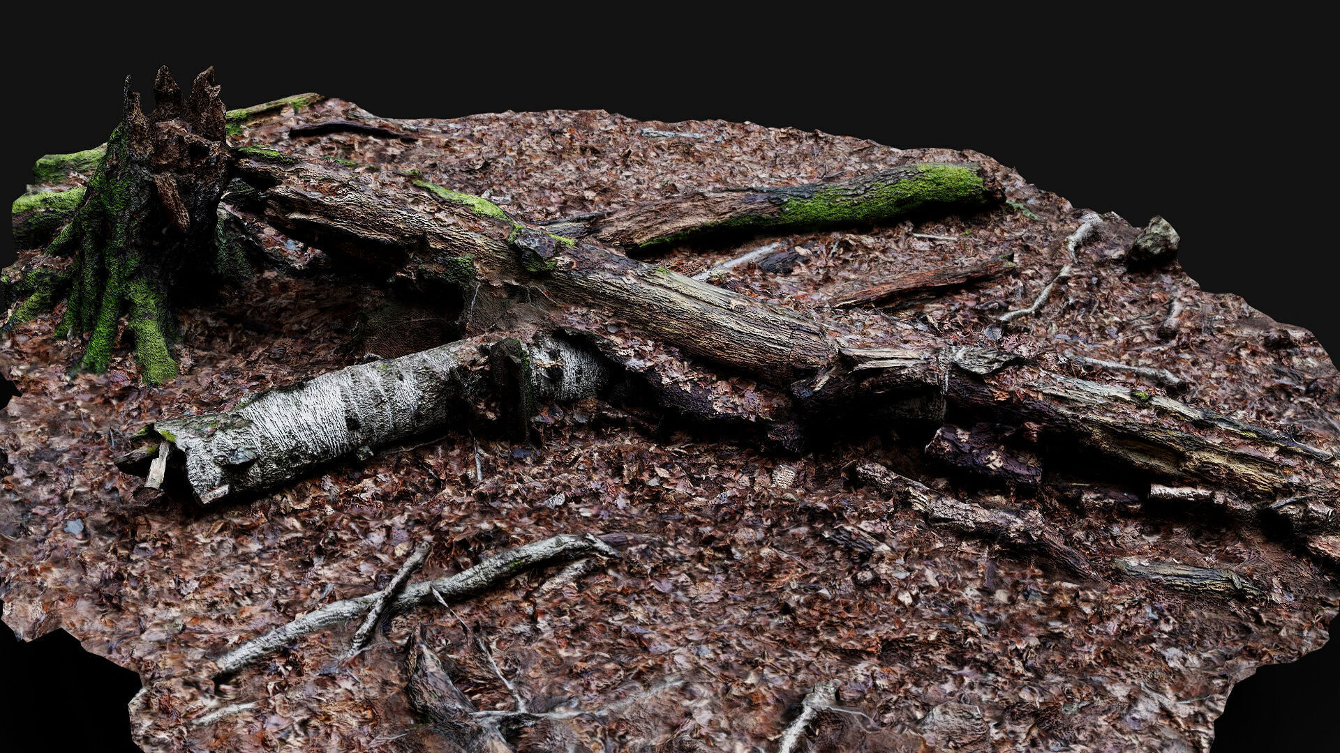 forest ground tree mossy branches debris pt4 photogrammetry Low-poly 3D model_2