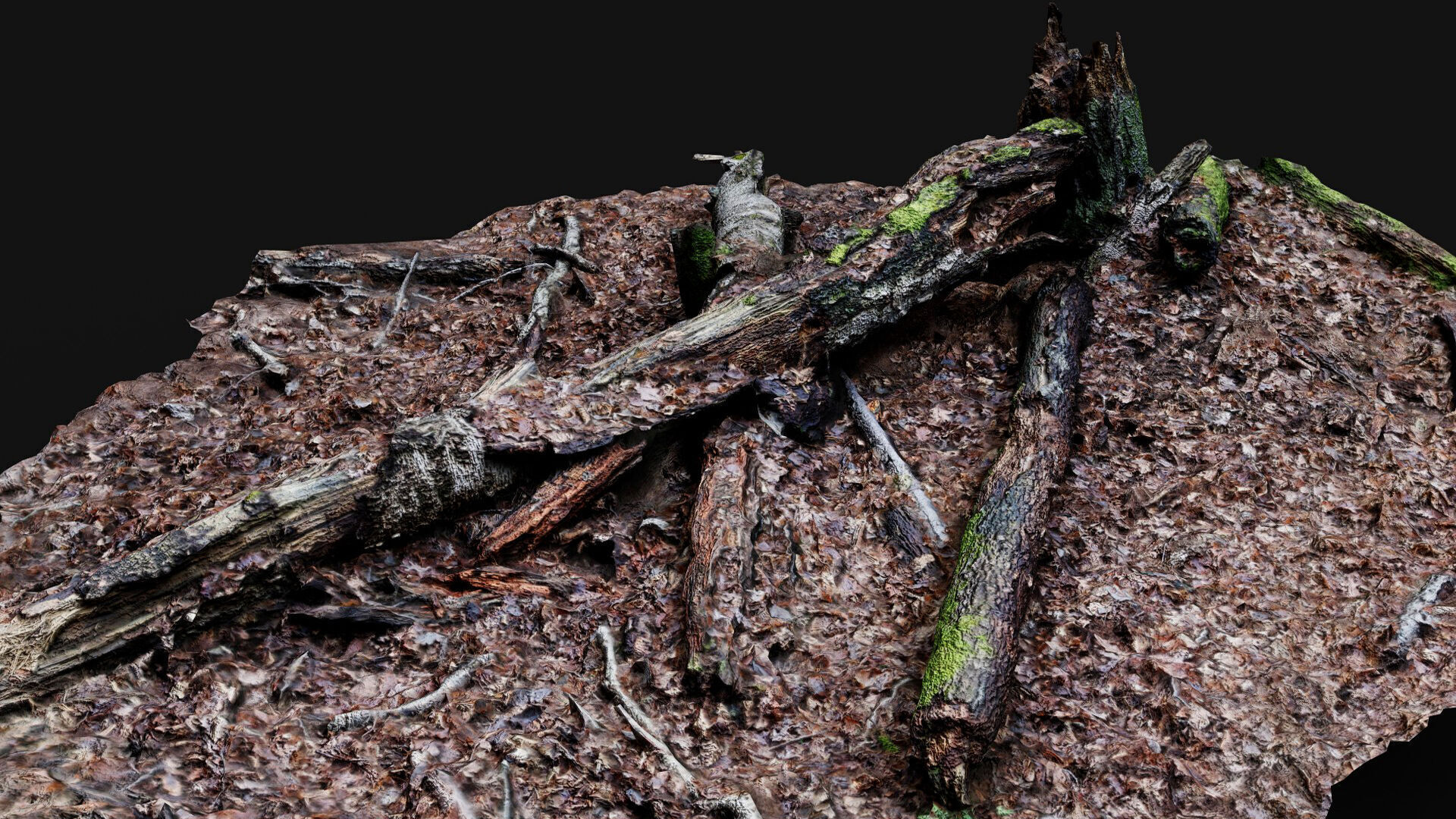 forest ground tree mossy branches debris pt4 photogrammetry Low-poly 3D model_8