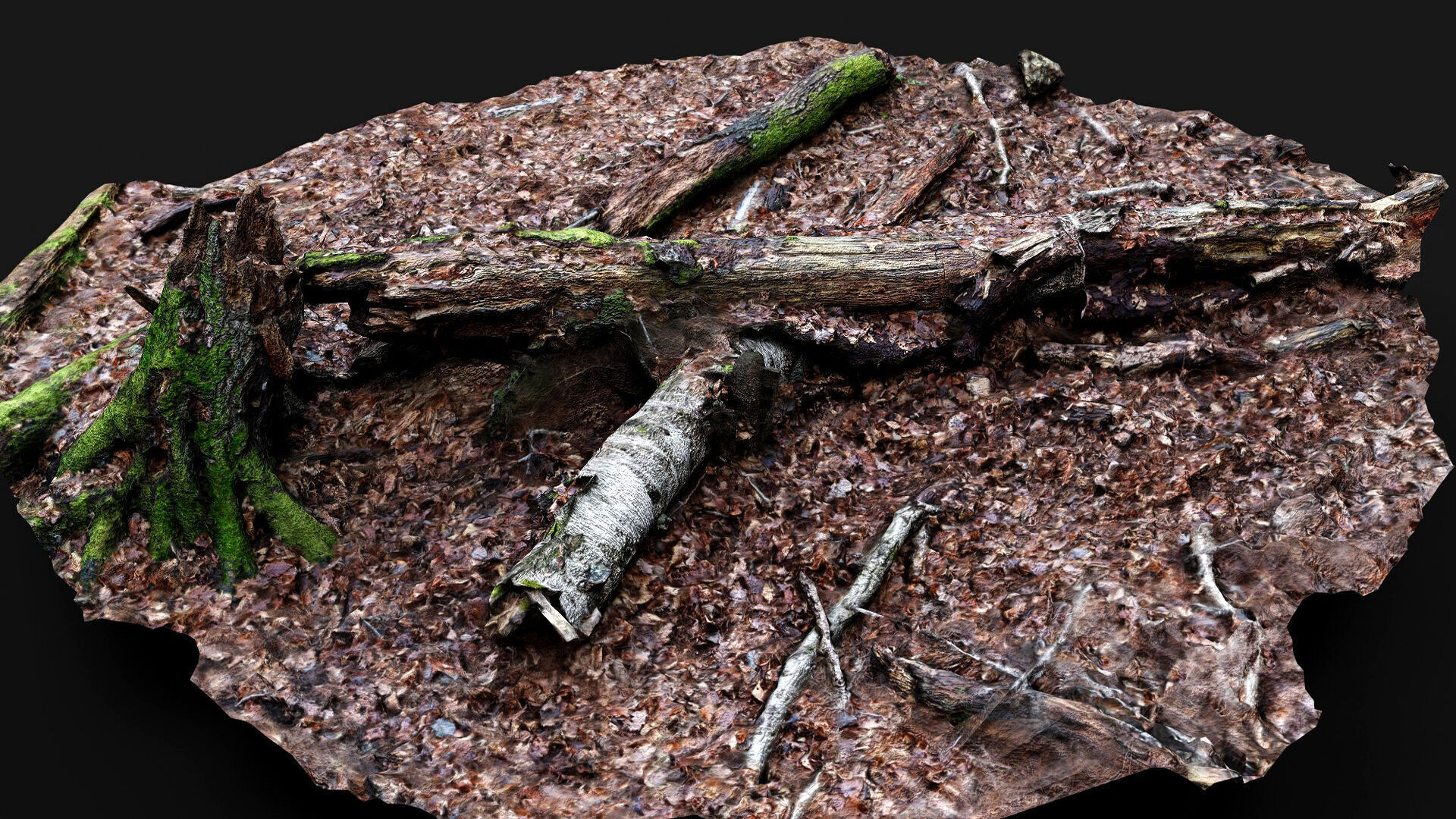 forest ground tree mossy branches debris pt4 photogrammetry Low-poly 3D model_1