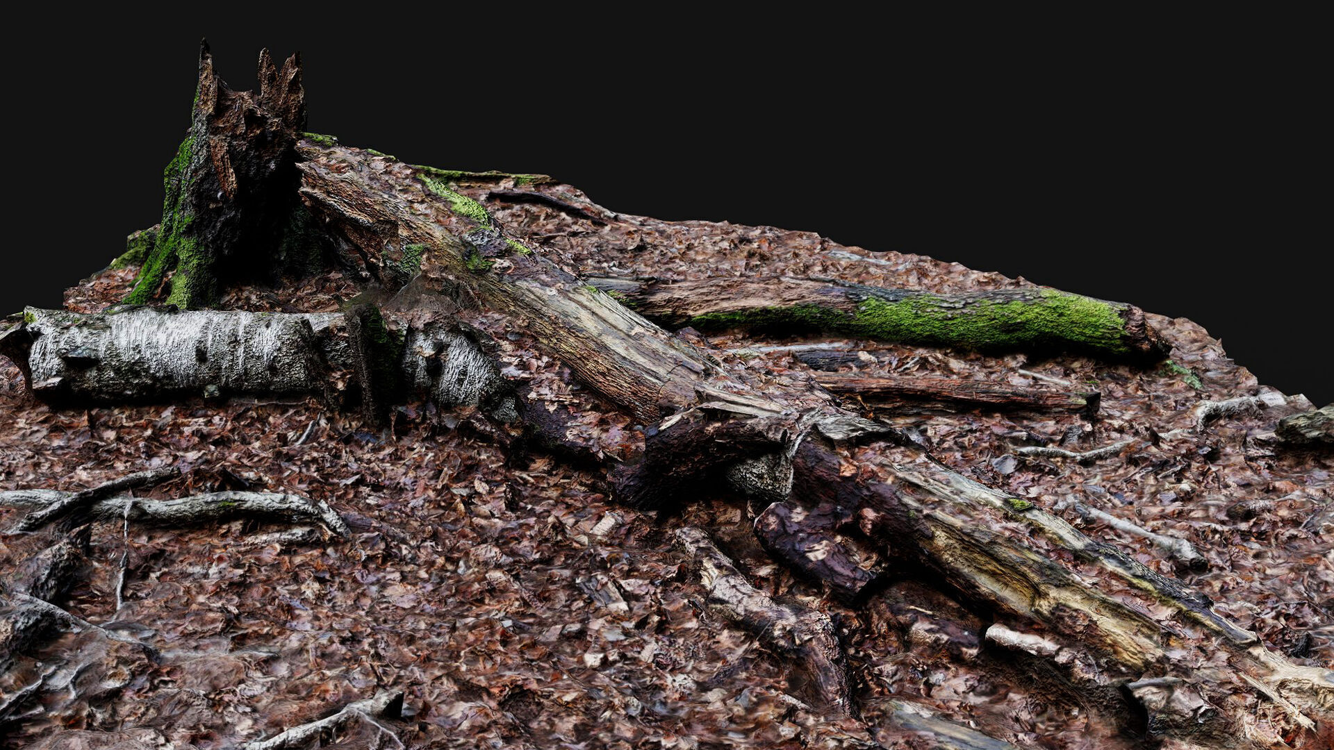 forest ground tree mossy branches debris pt4 photogrammetry Low-poly 3D model_7