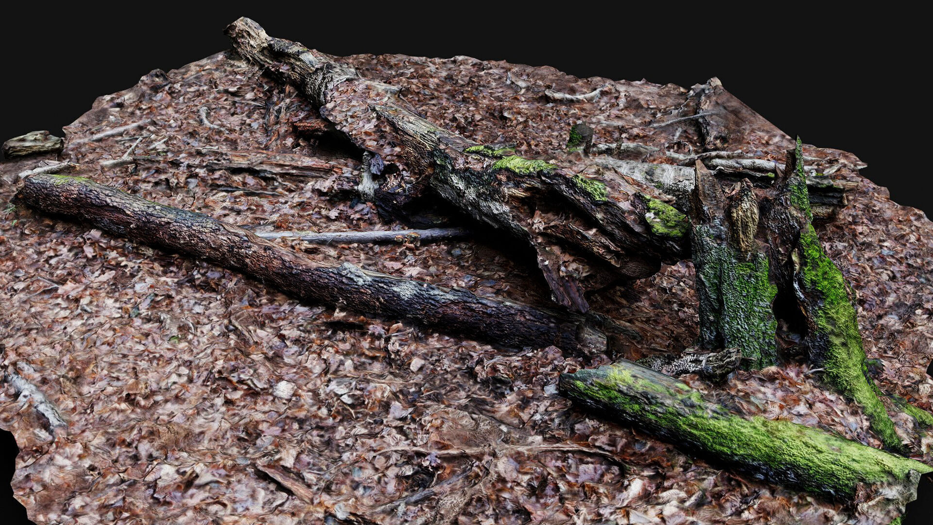 forest ground tree mossy branches debris pt4 photogrammetry Low-poly 3D model_4