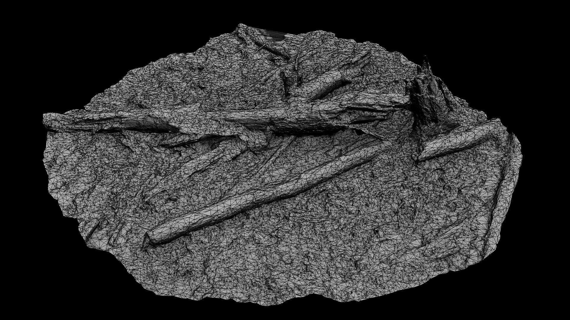 forest ground tree mossy branches debris pt4 photogrammetry Low-poly 3D model_10