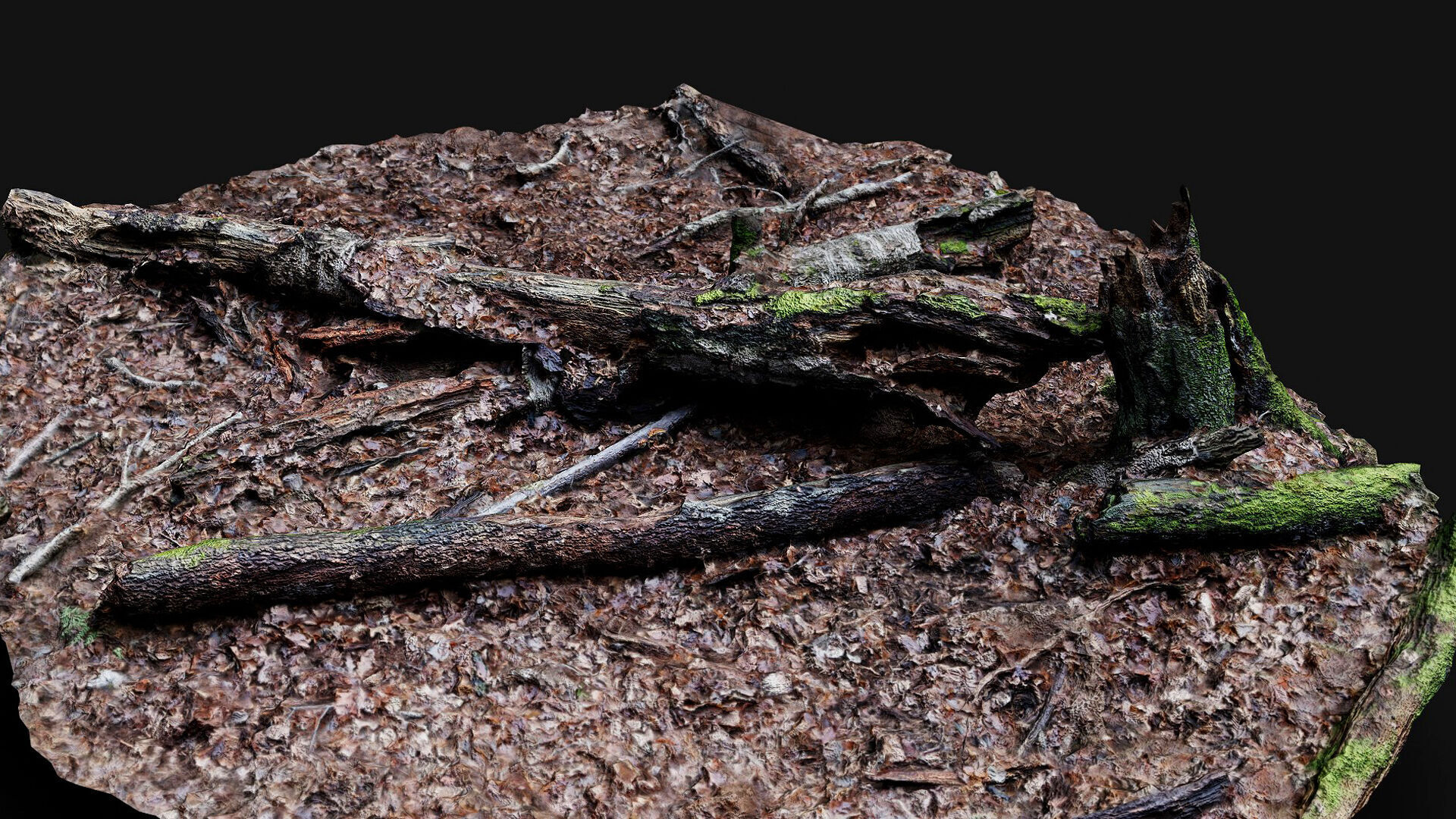 forest ground tree mossy branches debris pt4 photogrammetry Low-poly 3D model_3