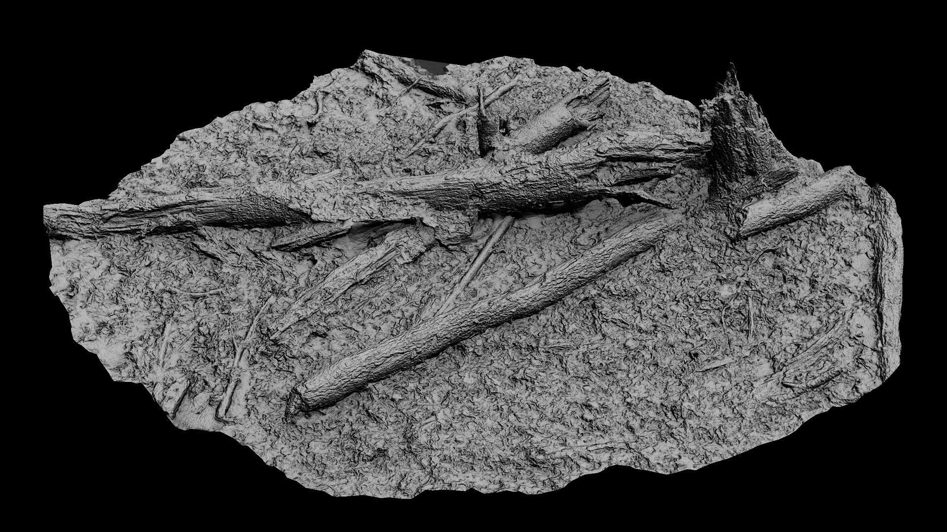 forest ground tree mossy branches debris pt4 photogrammetry Low-poly 3D model_9