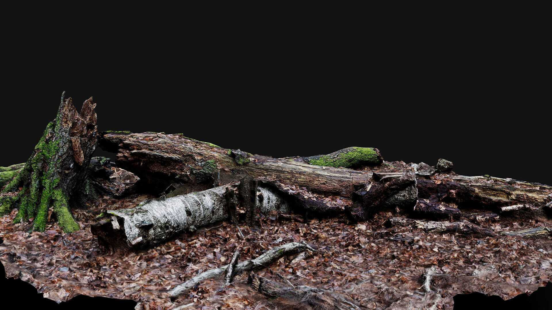forest ground tree mossy branches debris pt4 photogrammetry Low-poly 3D model_6