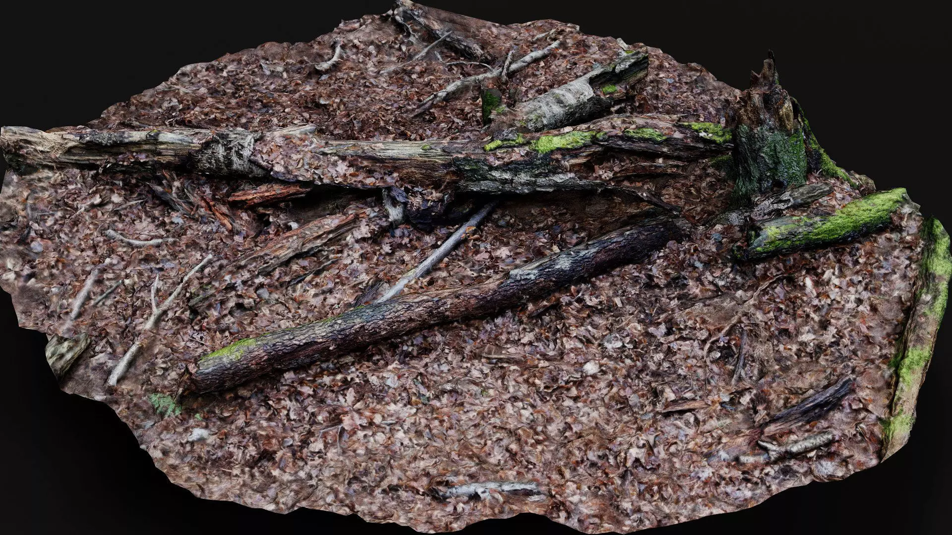 forest ground tree mossy branches debris pt4 photogrammetry Low-poly 3D model_0