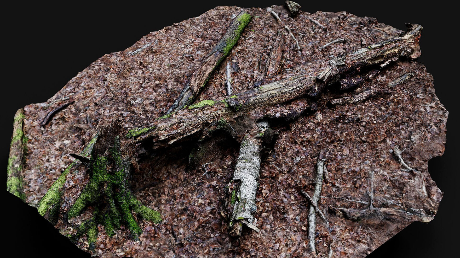 forest ground tree mossy branches debris pt4 photogrammetry Low-poly 3D model_5