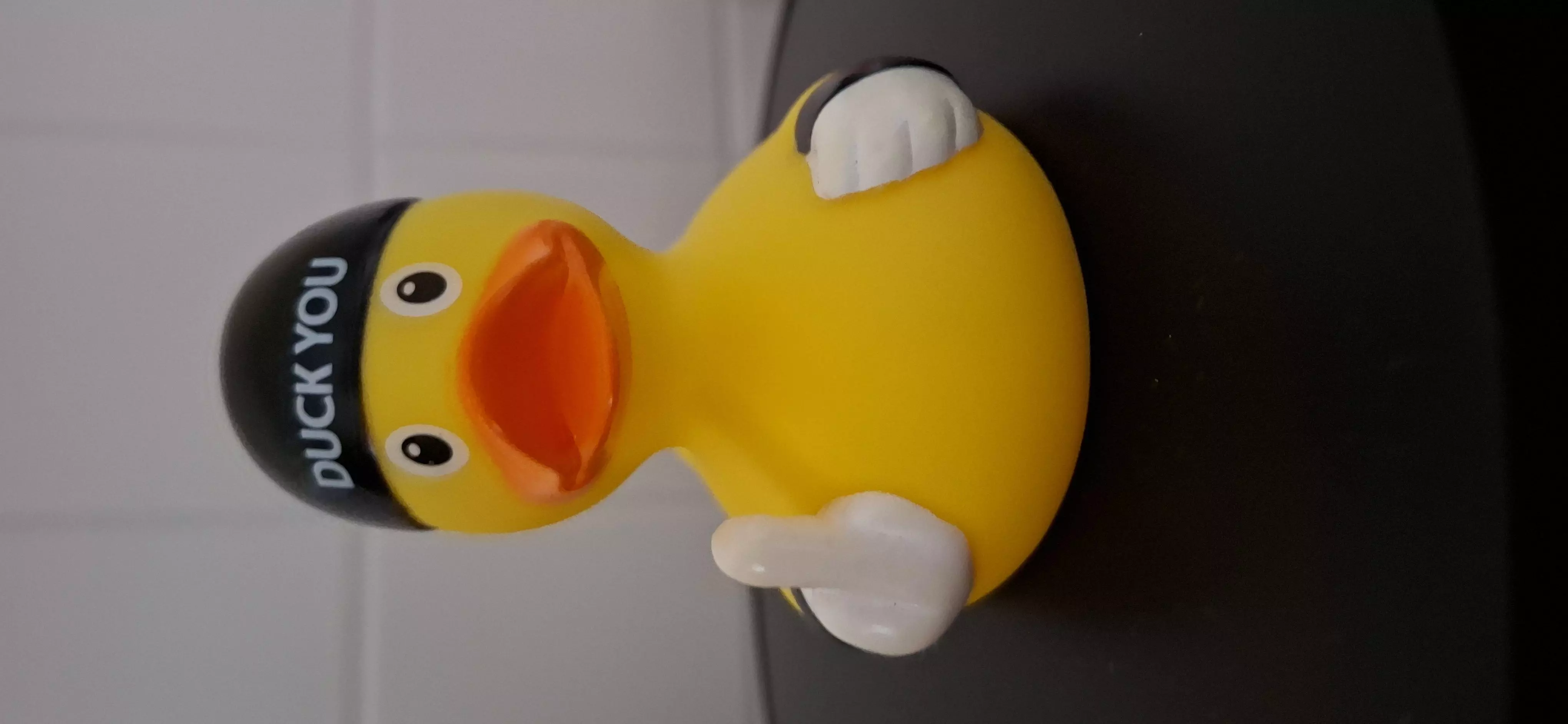 Duck You Low-poly 3D model_0