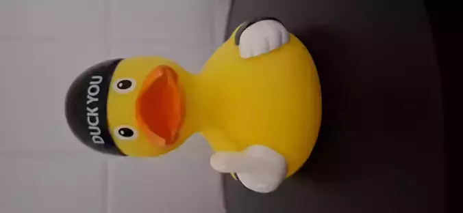 Duck You