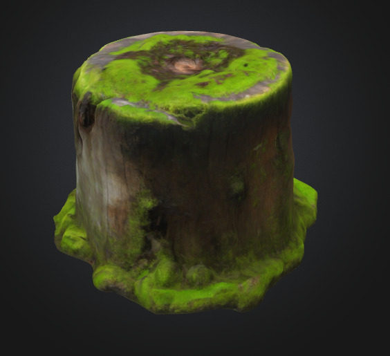Moss Tree Stump 3D model_1