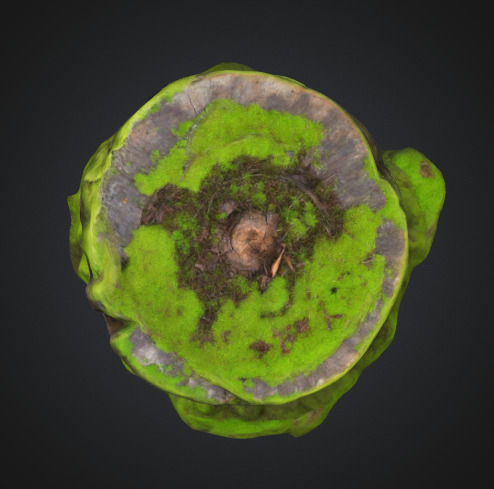Moss Tree Stump 3D model_2