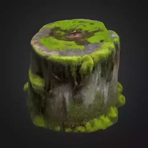 Moss Tree Stump 3D model
