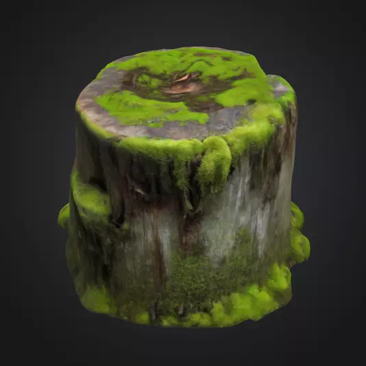 Moss Tree Stump 3D model_0