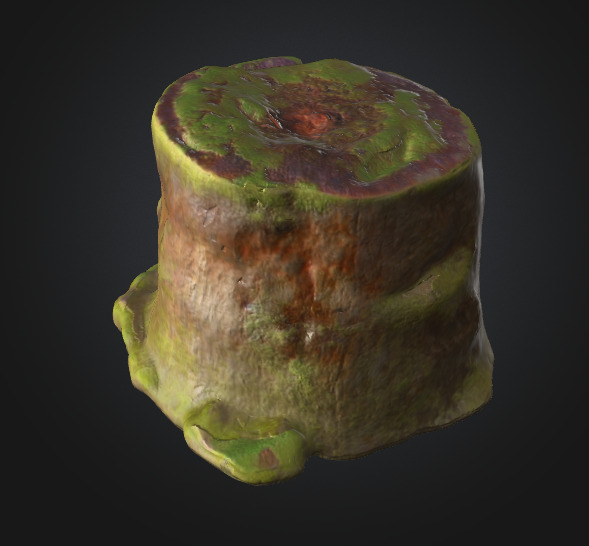 Moss Tree Stump 3D model_5