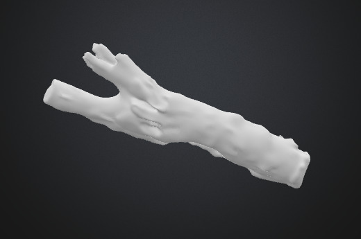 Tree trunk 3D model_3