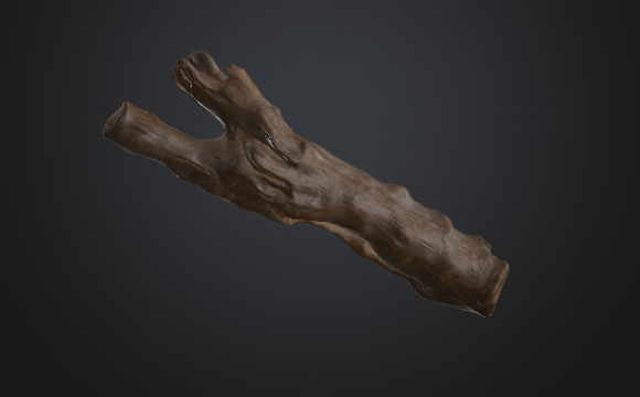 Tree trunk 3D model_4