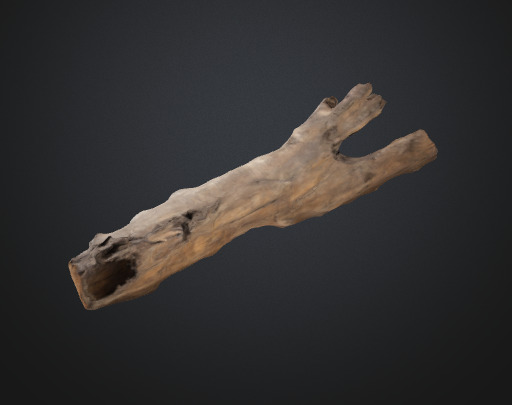 Tree trunk 3D model_1