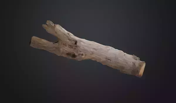 Tree trunk 3D model