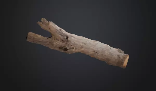 Tree trunk 3D model_0