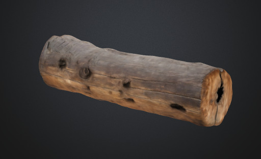 Tree trunk 3D model_1