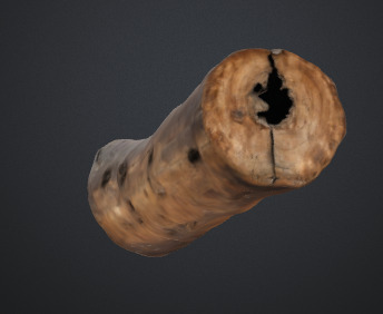 Tree trunk 3D model_3