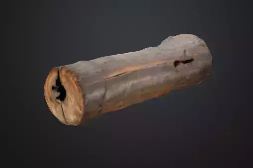 Tree trunk 3D model