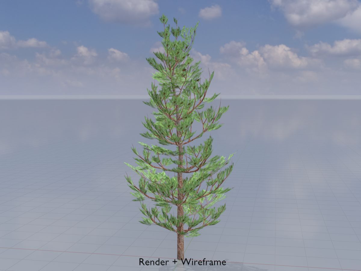 Forest pine summer 8m Low-poly 3D model_5