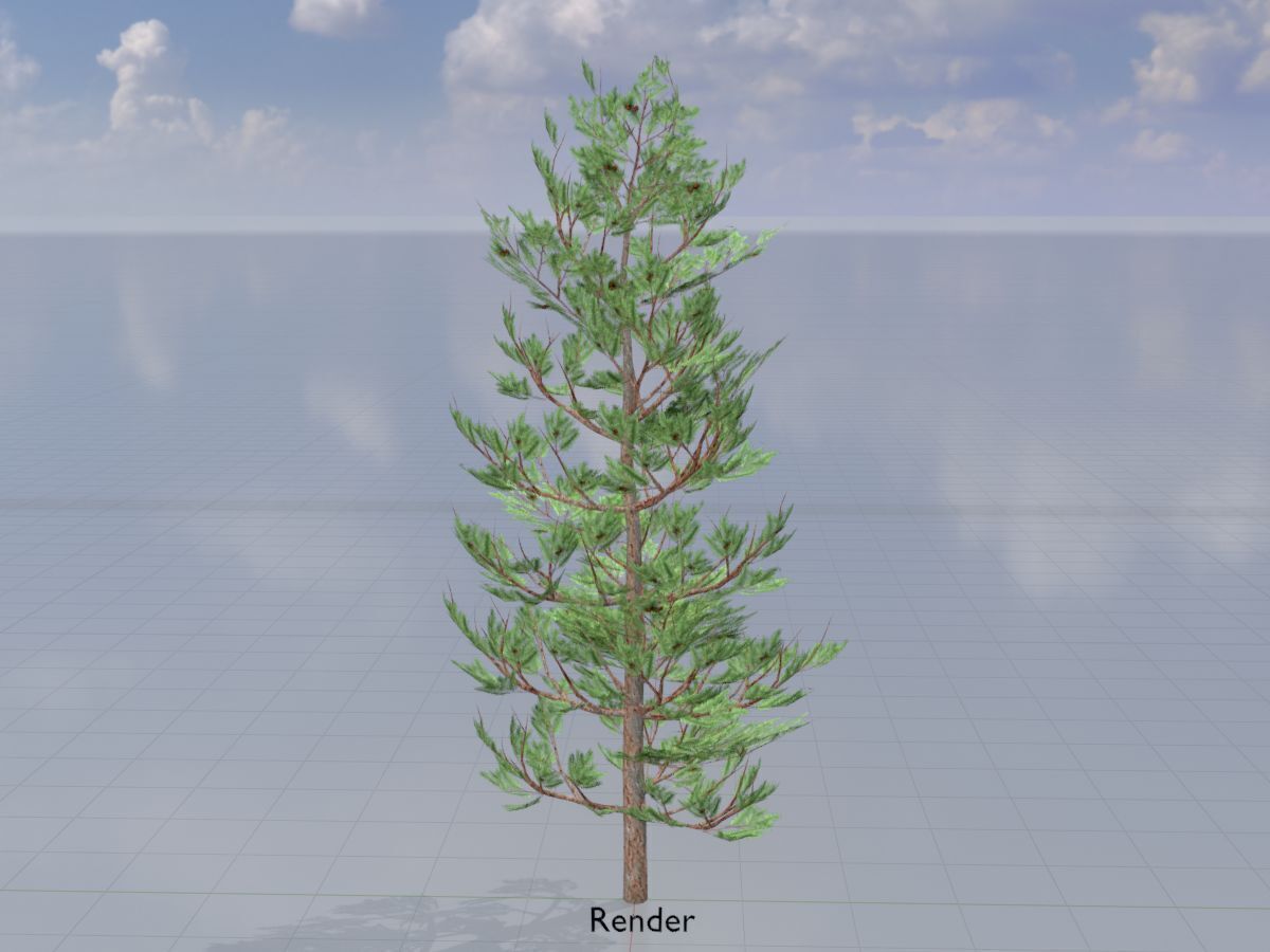 Forest pine summer 8m Low-poly 3D model_14