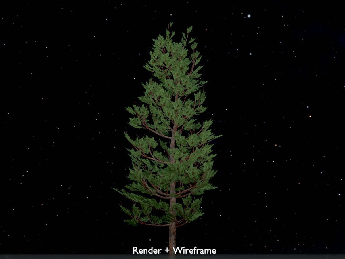 Forest pine summer 8m Low-poly 3D model_7