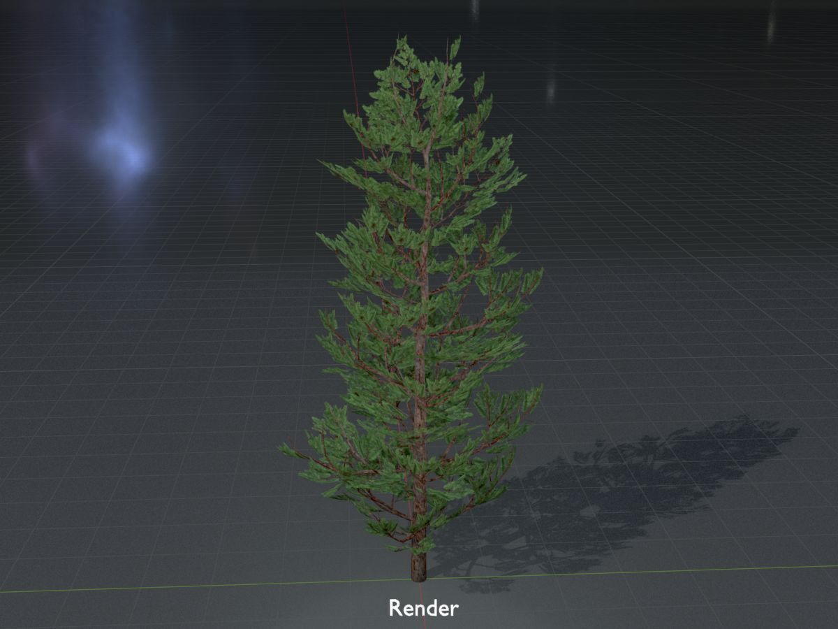 Forest pine summer 8m Low-poly 3D model_16